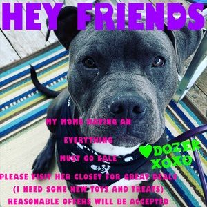 ⚡️EVERYTHING MUST GO⚡️